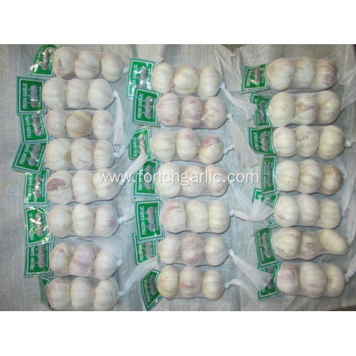 2020 Garlic Price Normal White Garlic